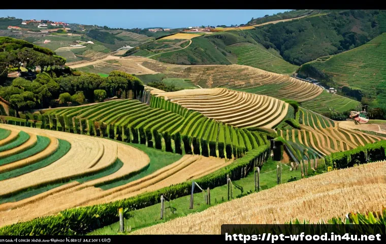 Massa biológica: como comparar marcas, ingredientes e preço antes de comprar 4 유기농 파스타 브랜드 비교 관련 이미지 2